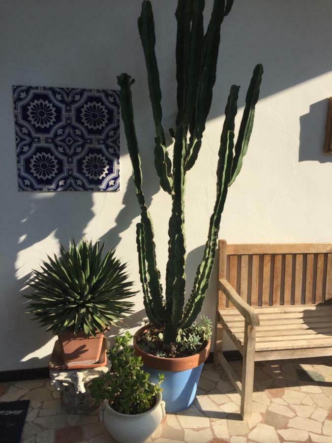Passirano B&B La Villa Mediterranea מראה חיצוני תמונה